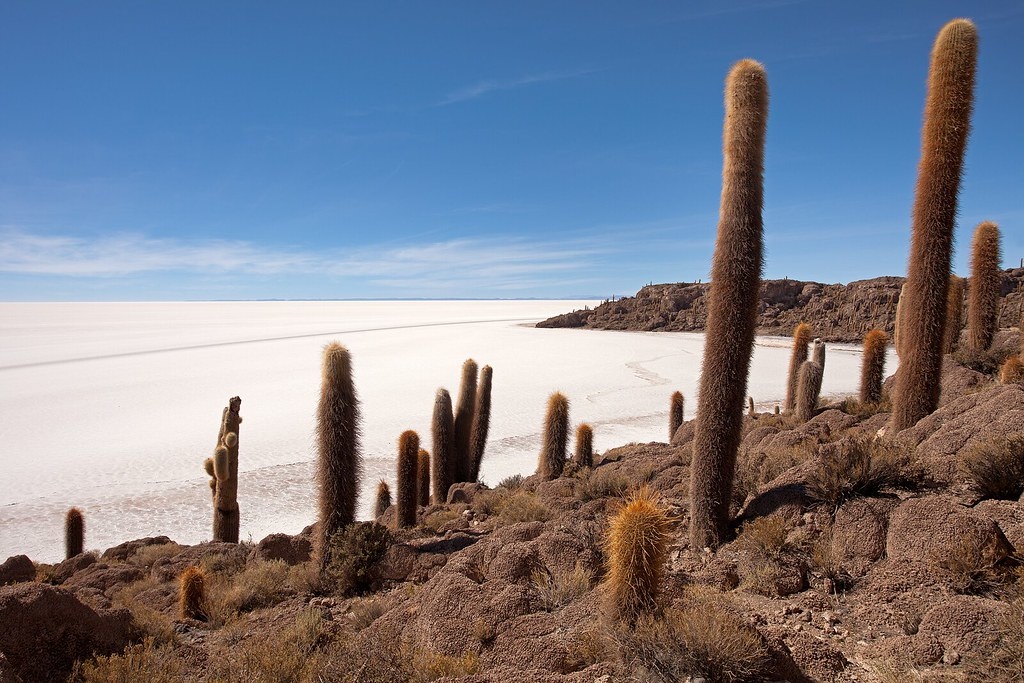 cánh đồng muối Salar de Uyuni ảnh 4 canh dong muoi Salar de Uyuni anh 4