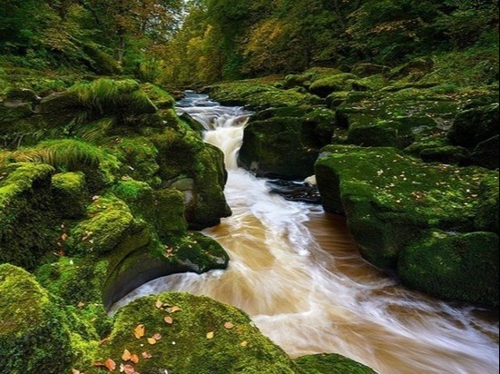 Dong suoi rong 1,8 m nguy hiem nhat the gioi hinh anh