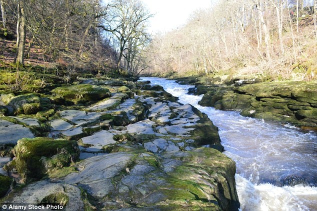Bolton Strid anh 1