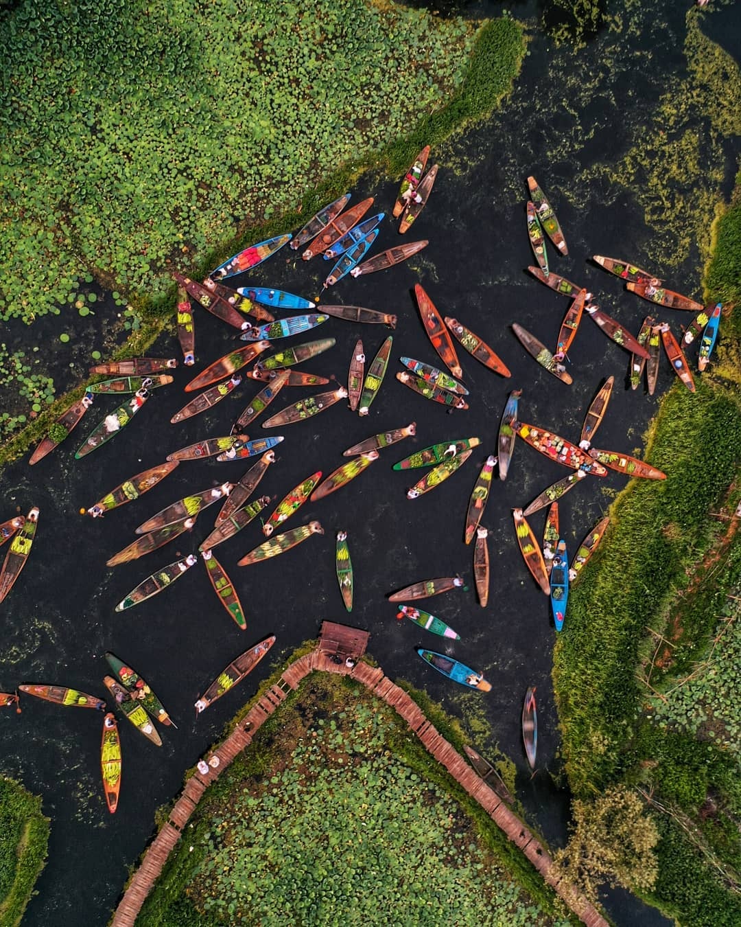 chợ nổi ảnh 4 cho noi anh 4