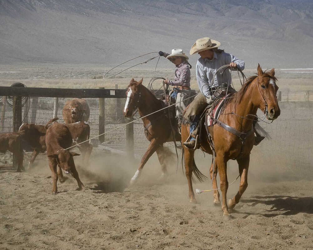 truong dai hoc ky la anh 1