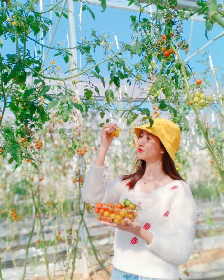 du lịch Tây Bắc ảnh 14 du lich Tay Bac anh 14