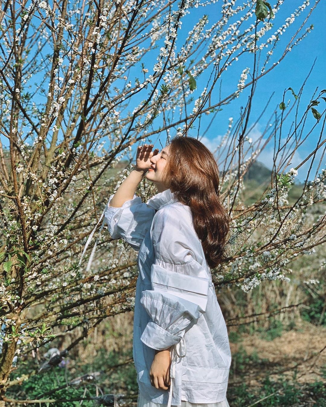 du lịch Tây Bắc ảnh 15 du lich Tay Bac anh 15