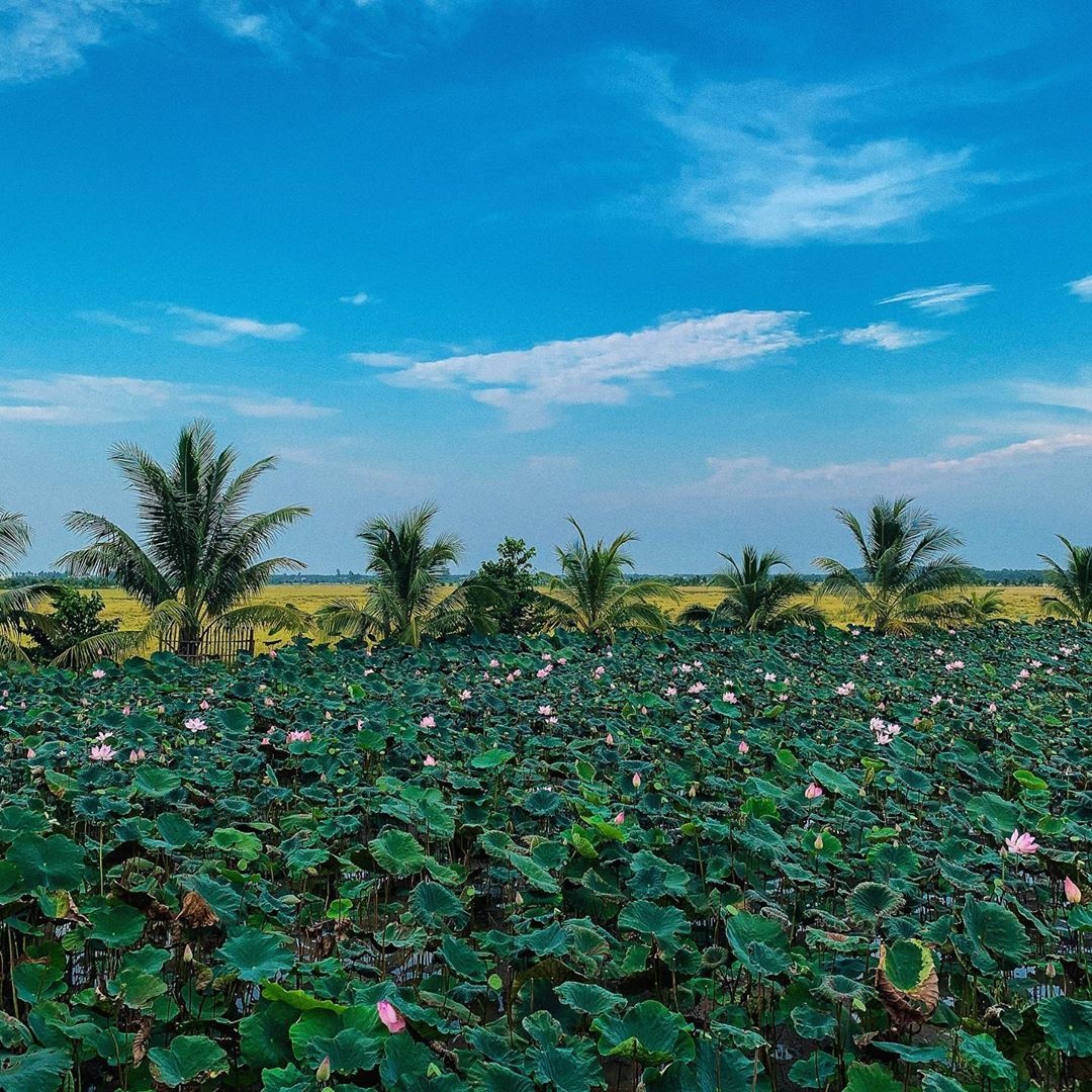 du lịch miền Tây ảnh 6 du lich mien Tay anh 6