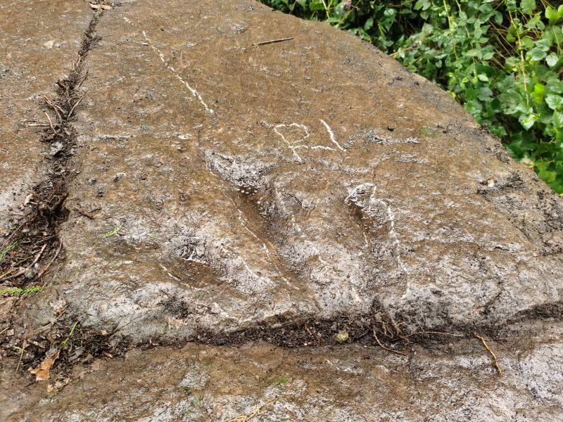 be trai 5 tuoi phat hien dau chan khung long anh 1