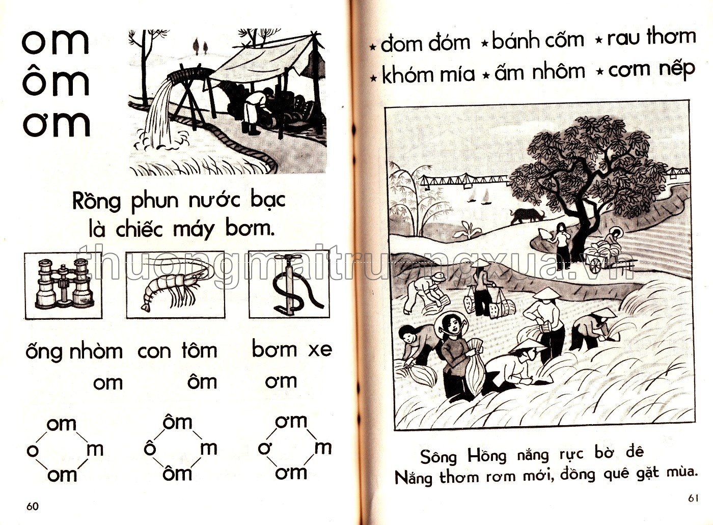 sách Học vần lớp 1 năm 1977 ảnh 4 sach Hoc van lop 1 nam 1977 anh 4