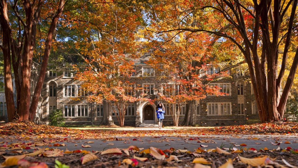 truong dai hoc dep vao mua thu anh 5