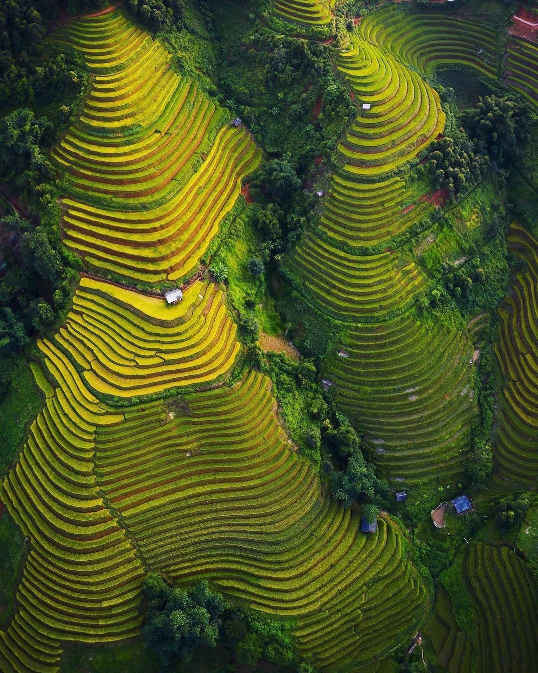 Mù cang chải ảnh 2 Mu cang chai anh 2