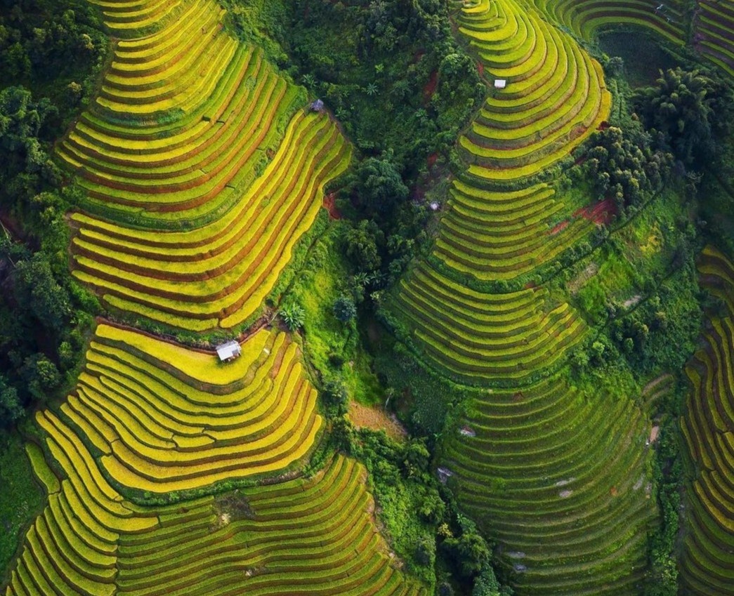 Mu Cang Chai vao top 50 diem den dep nhat the gioi hinh anh