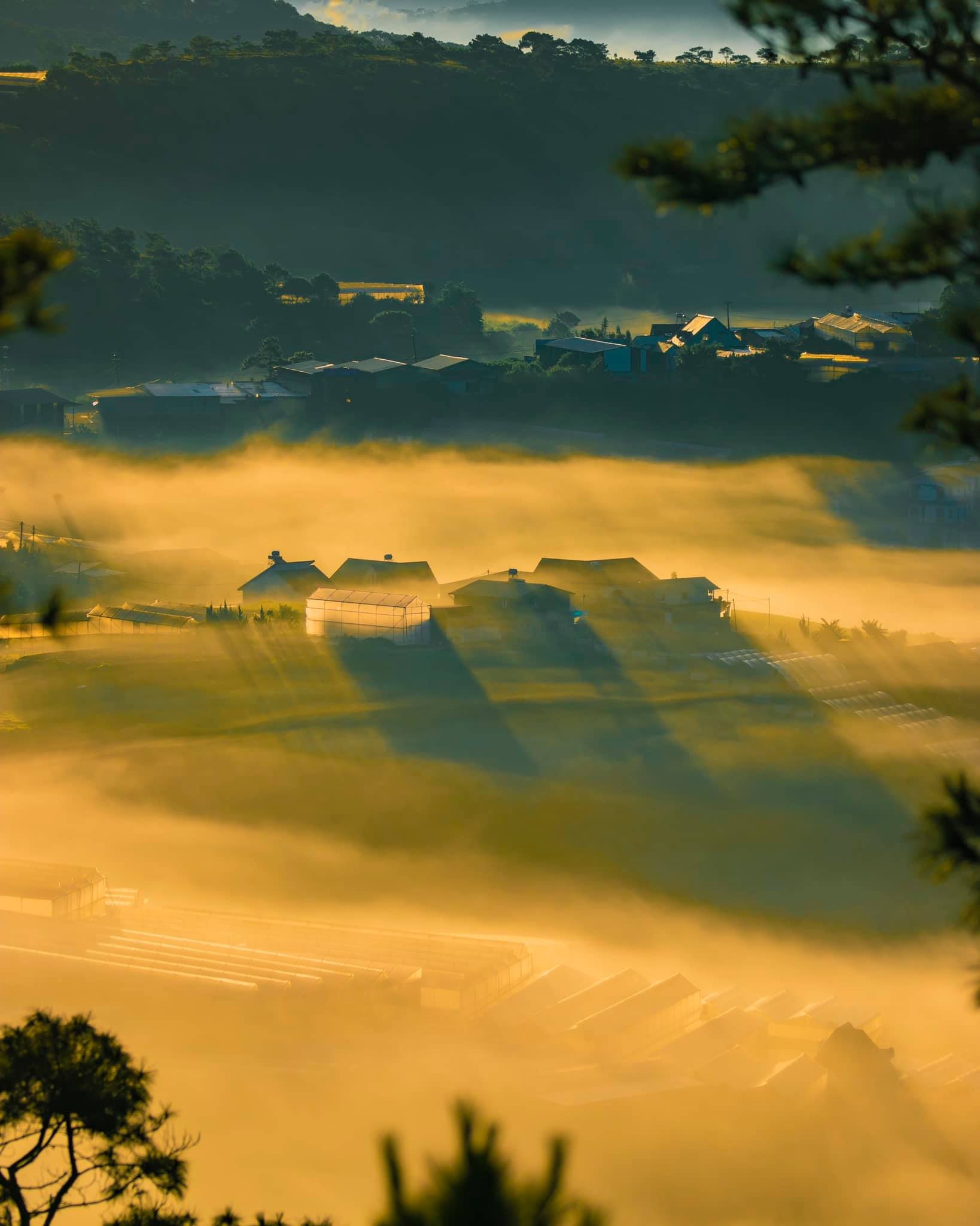 đồi Đa Phú ảnh 9 doi Da Phu anh 9