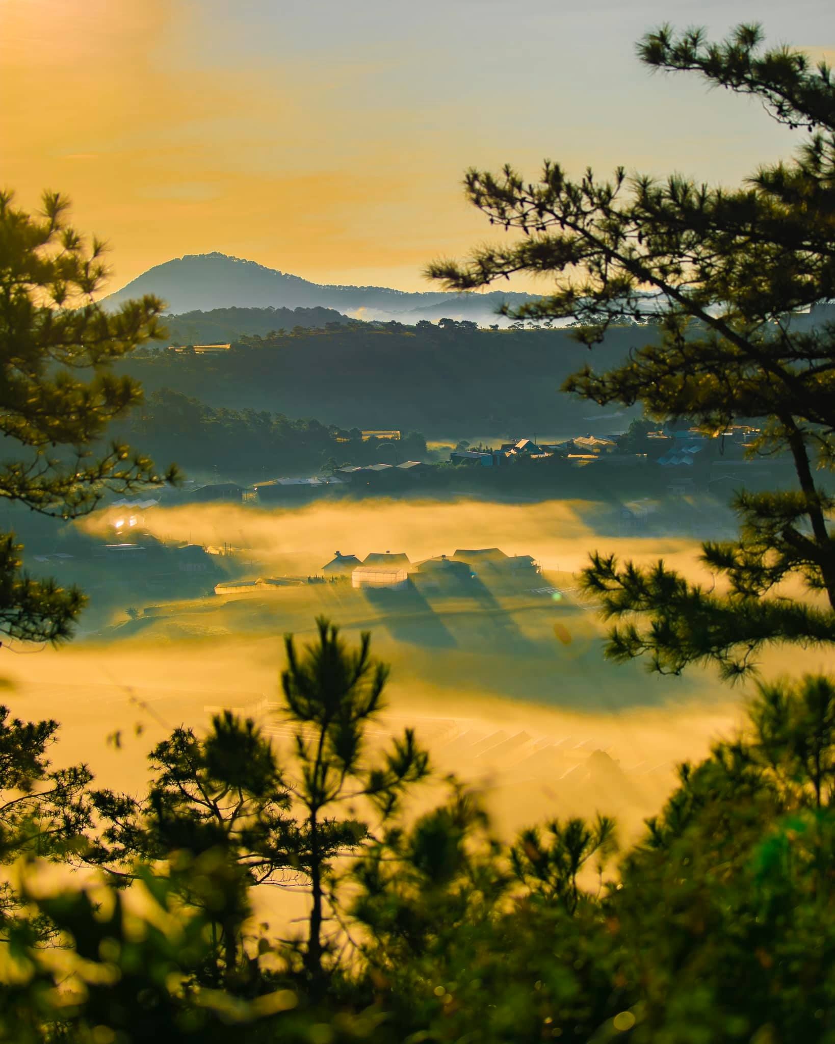 đồi Đa Phú ảnh 8 doi Da Phu anh 8