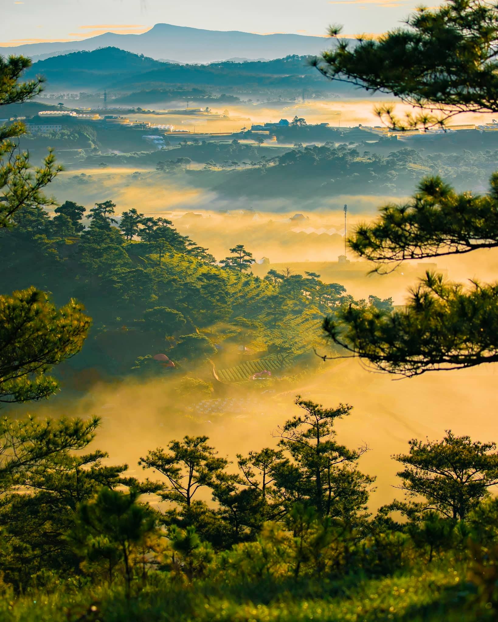 đồi Đa Phú ảnh 5 doi Da Phu anh 5