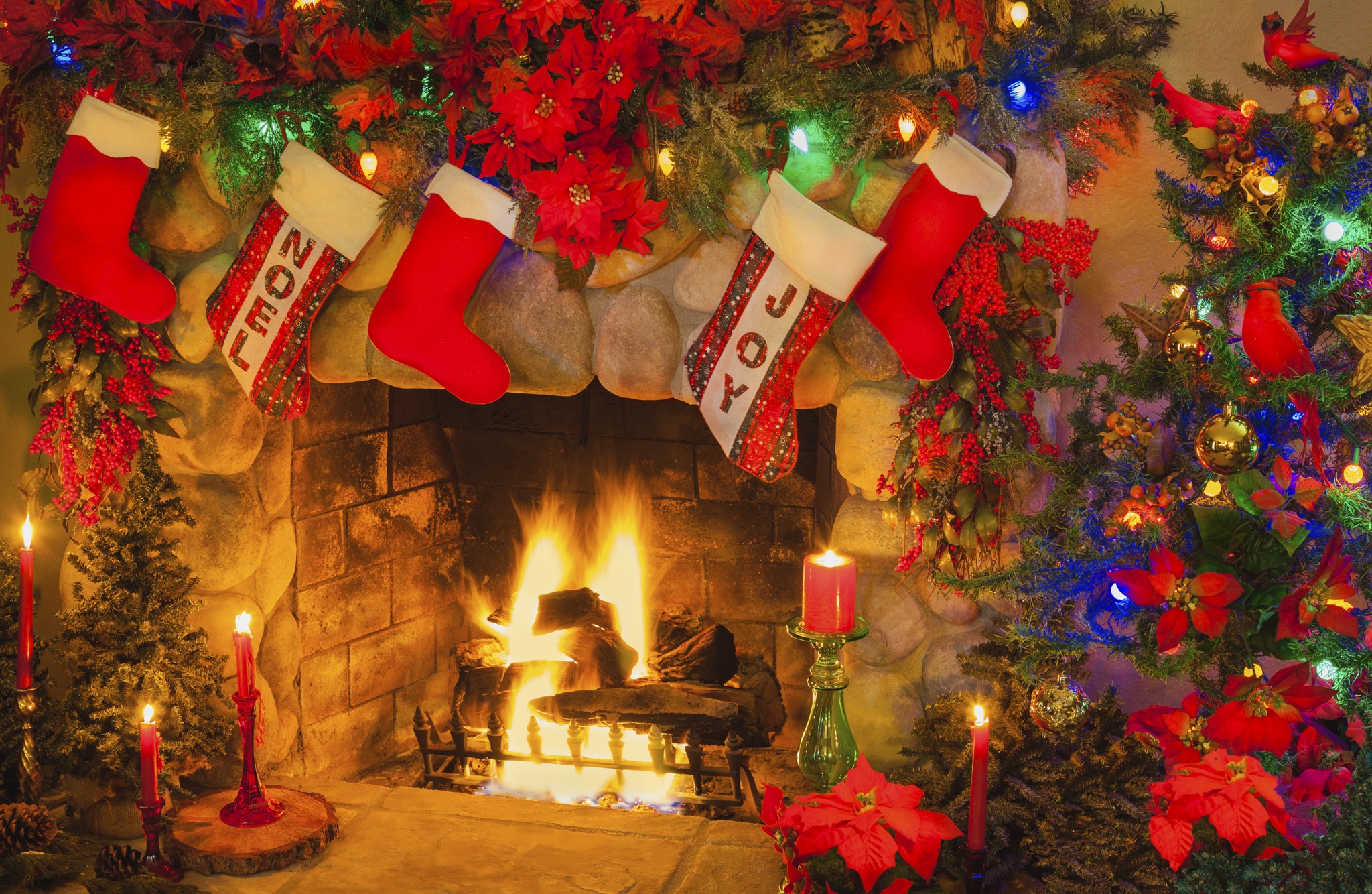 su that ve ong gia Noel anh 3