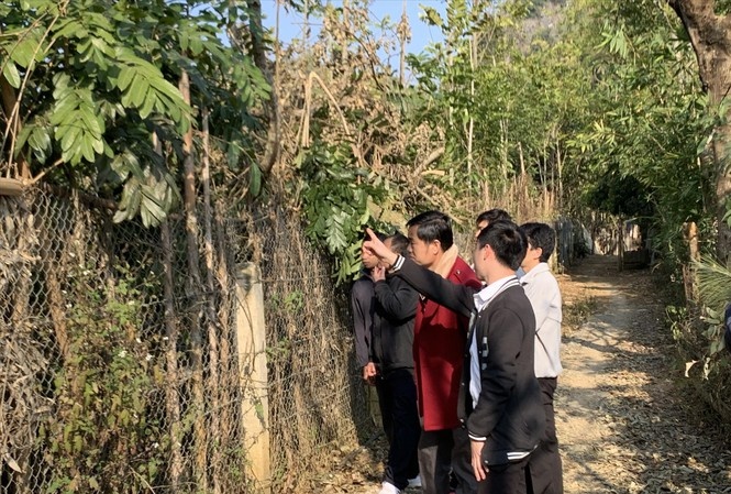 Vi sao xay nghia trang gan truong dai hoc? hinh anh