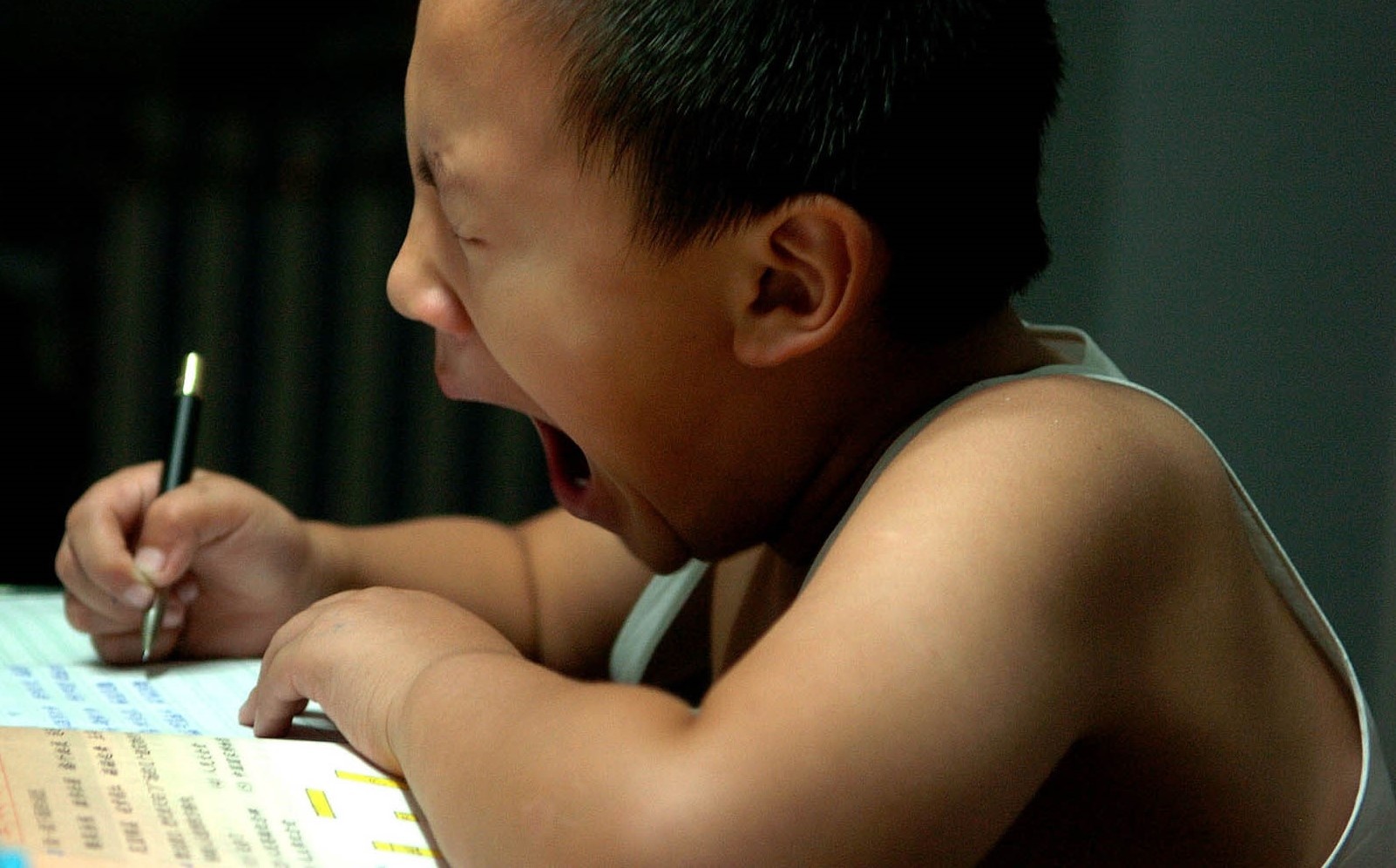 Trao luu 'luyen ga' o Trung Quoc va cuoc dua bien con thanh than dong hinh anh