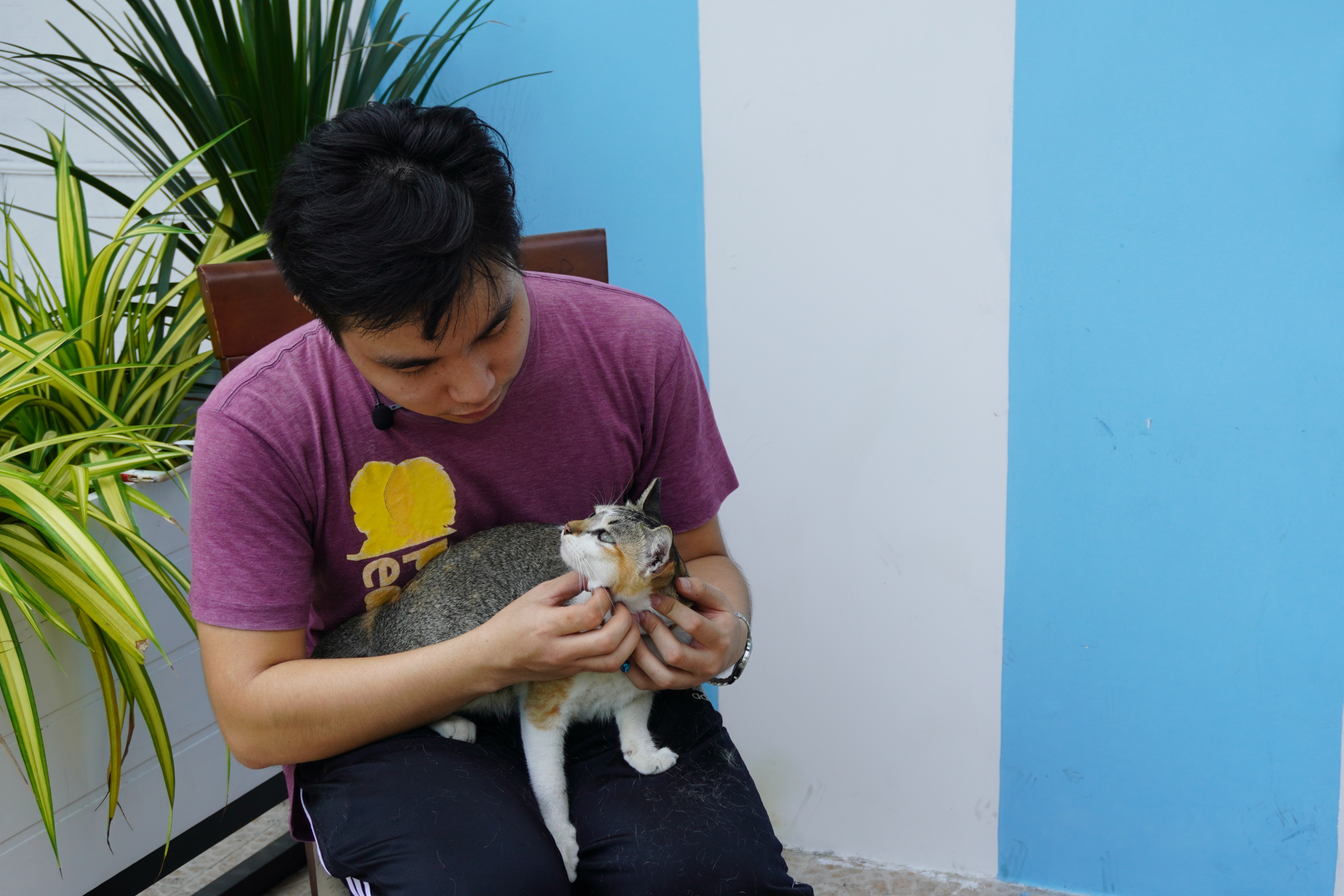 Biet doi cuu ho meo BKAT anh 1