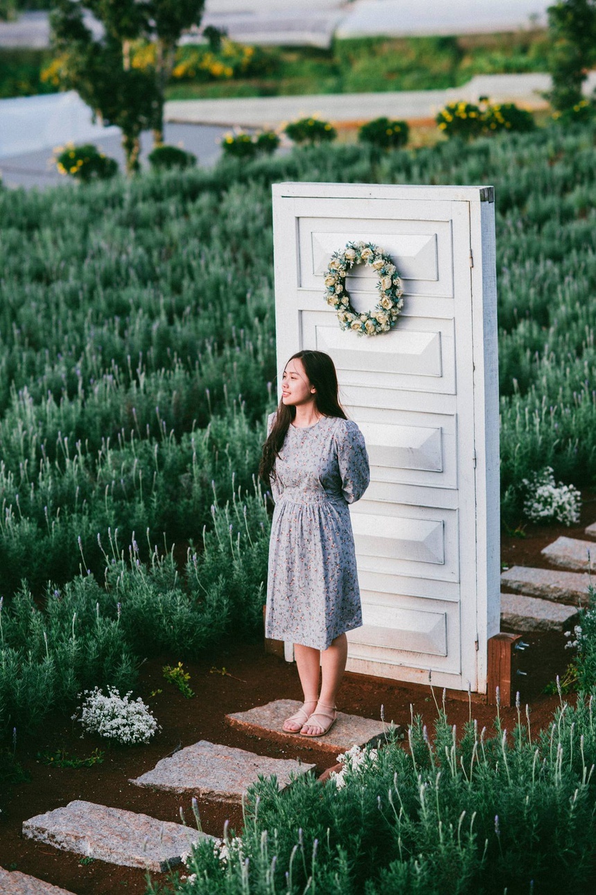 đi đâu ở Đà Lạt 2021 ảnh 7 di dau o Da Lat 2021 anh 7