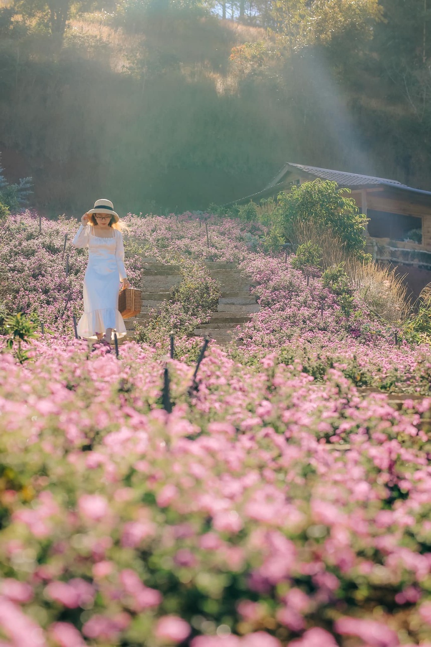 đi đâu ở Đà Lạt 2021 ảnh 10 di dau o Da Lat 2021 anh 10