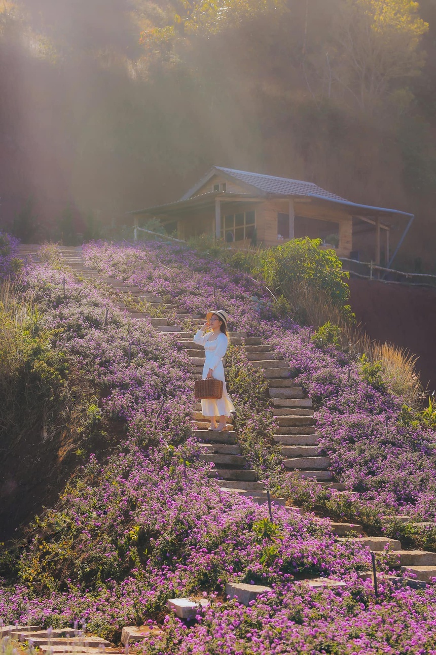 đi đâu ở Đà Lạt 2021 ảnh 9 di dau o Da Lat 2021 anh 9