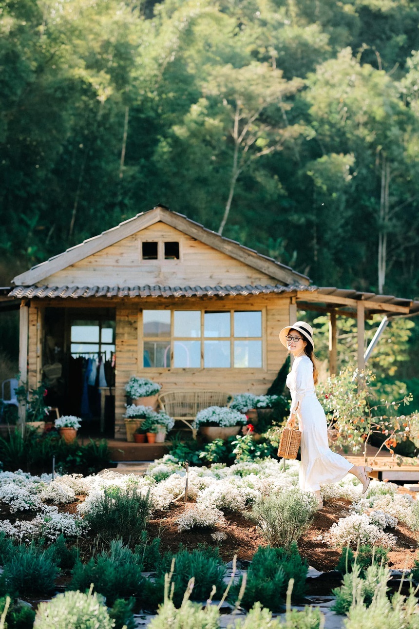 đi đâu ở Đà Lạt 2021 ảnh 8 di dau o Da Lat 2021 anh 8