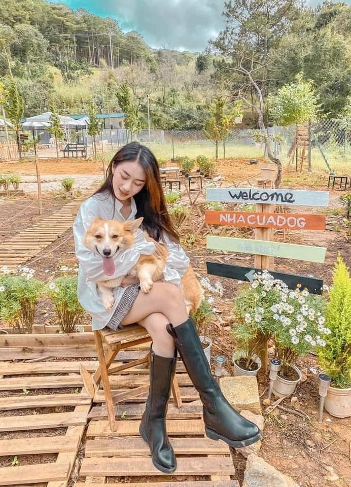 đi đâu ở Đà Lạt 2021 ảnh 3 di dau o Da Lat 2021 anh 3