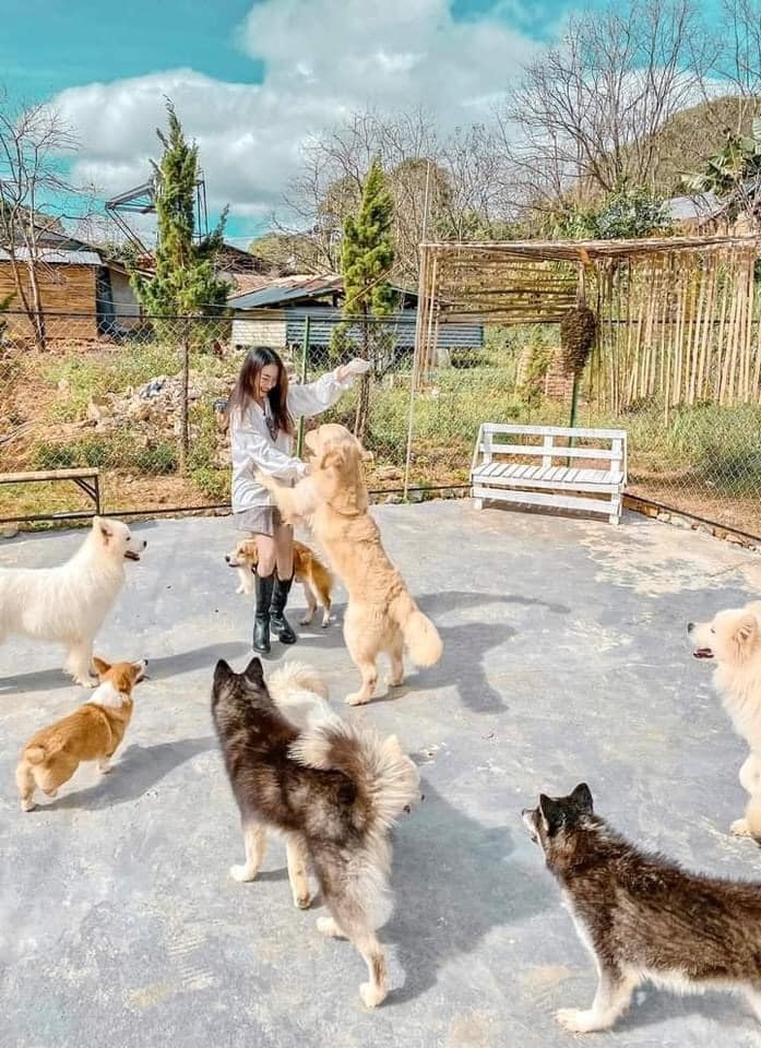 đi đâu ở Đà Lạt 2021 ảnh 4 di dau o Da Lat 2021 anh 4