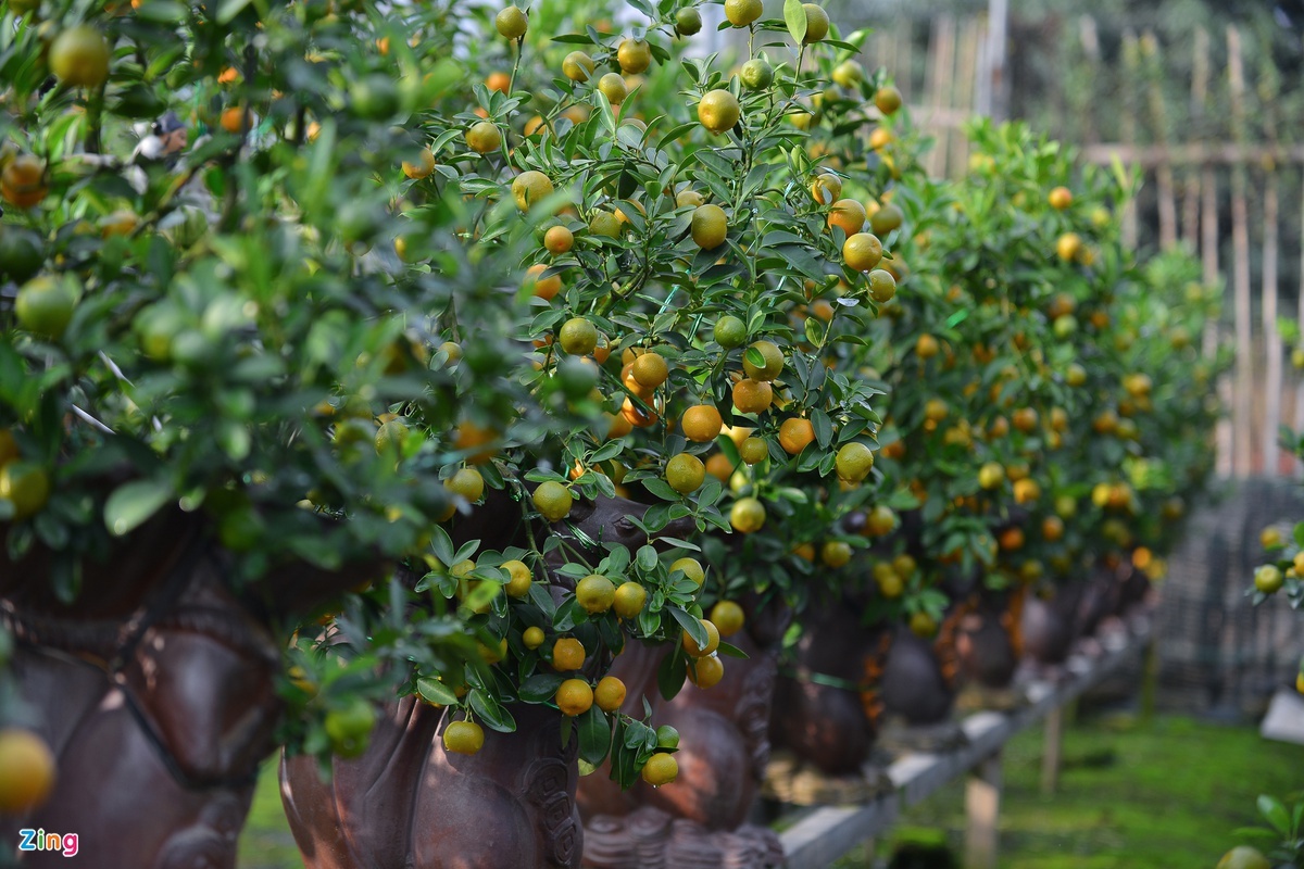 tap tuc trong ngay Tet cua nguoi Viet Nam anh 4