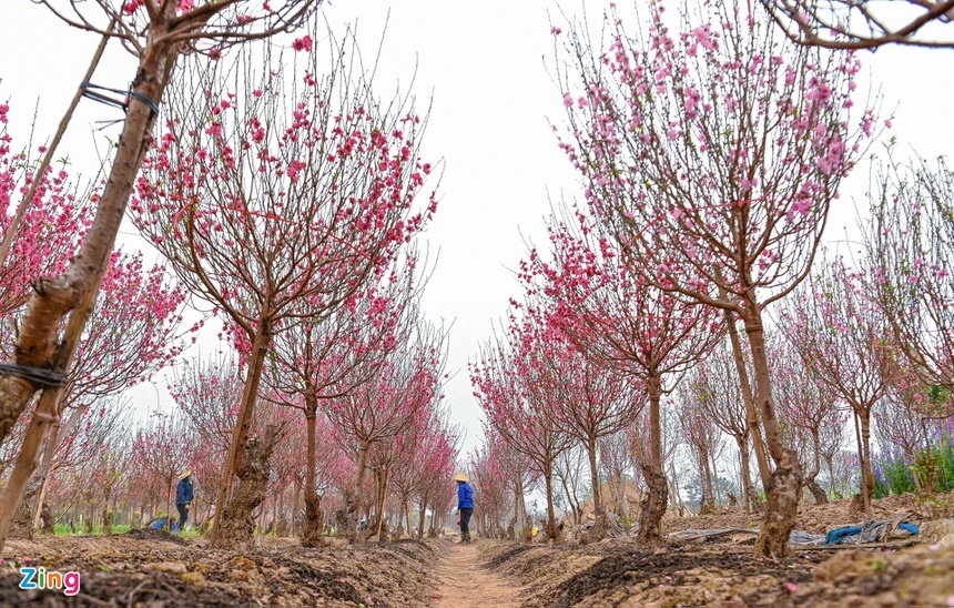 tap tuc trong ngay Tet cua nguoi Viet Nam anh 3