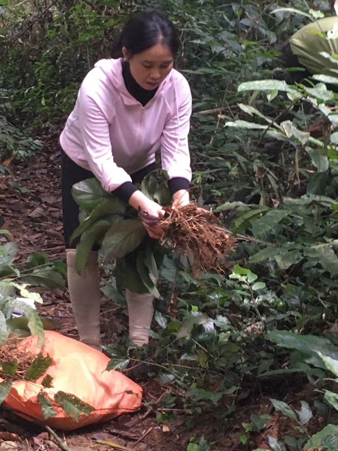 PGS tre nhat 2020 anh 2