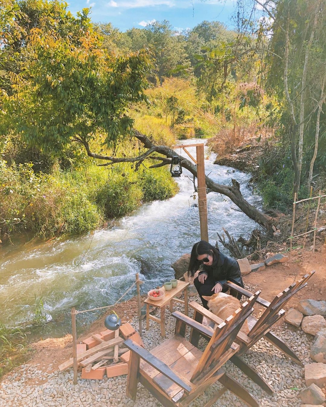 quán cà phê tại Đà Lạt ảnh 4 quan ca phe tai Da Lat anh 4