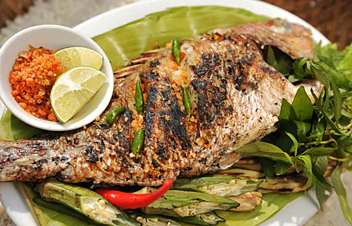 Ca ta ma la dac san cua dao nao? hinh anh