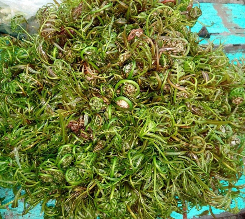 soi mam Hau Giang anh 4