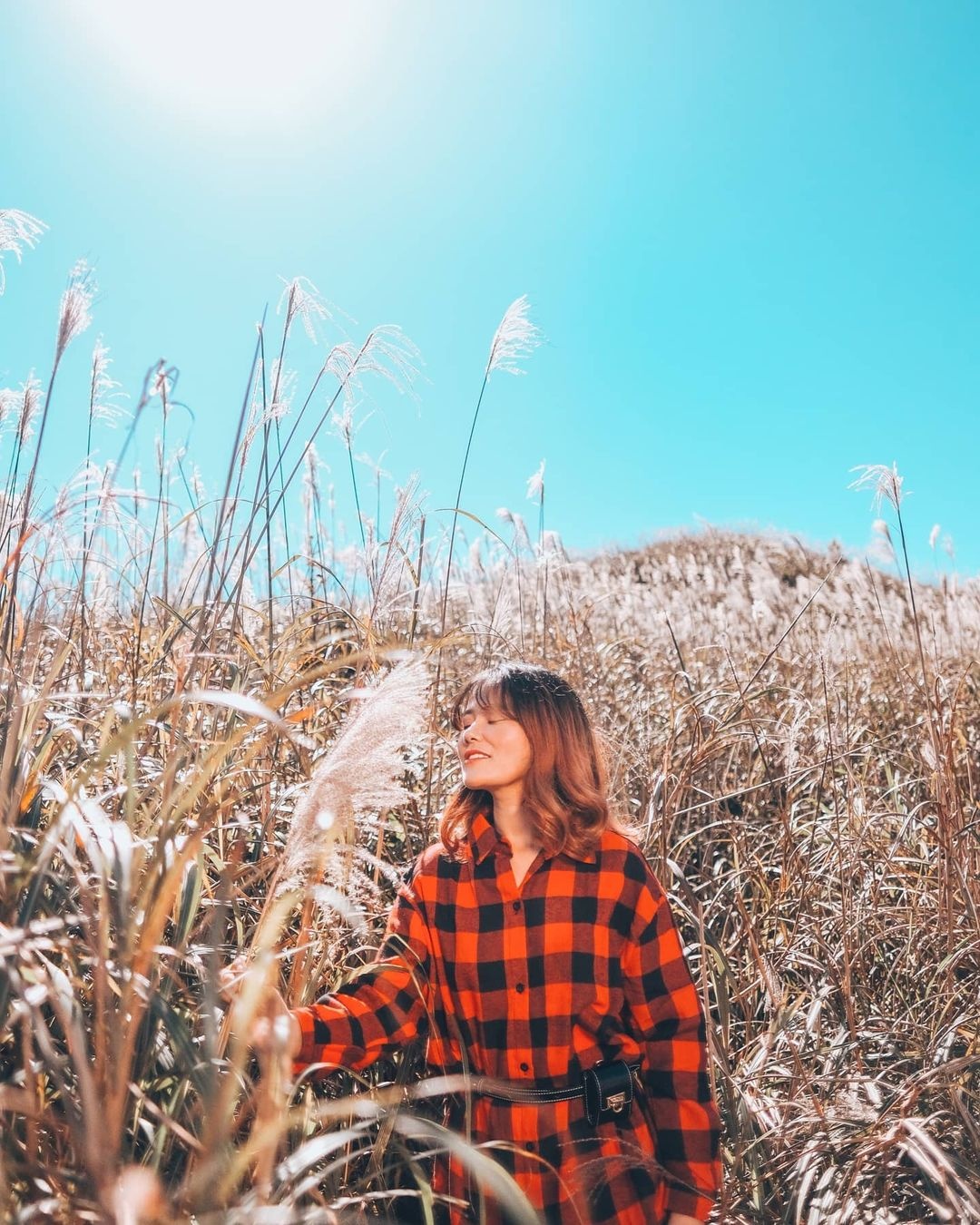 sống lưng khủng long của Việt Nam  ảnh 2 song lung khung long cua Viet Nam anh 2