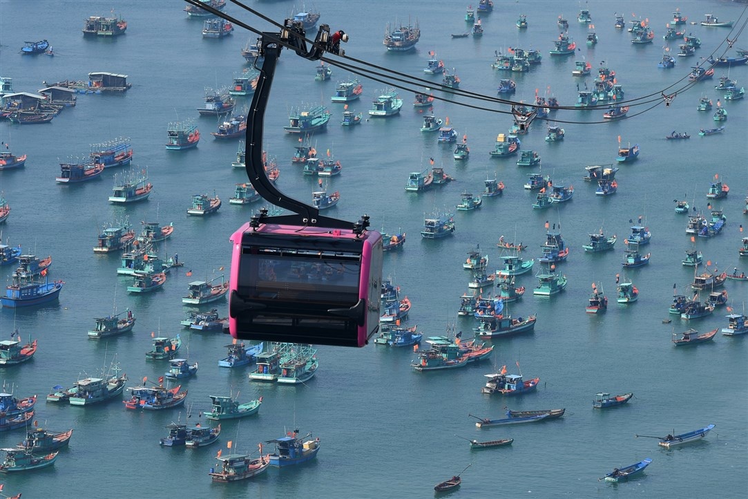 dao ten trai cay anh 2