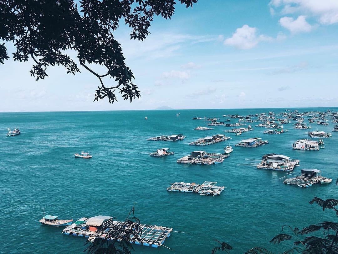 dao ten trai cay anh 5