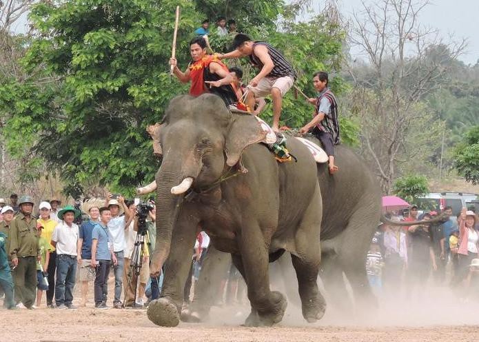 Xon xao sach giao khoa lop 3 viet sai su that ve truong dua voi hinh anh