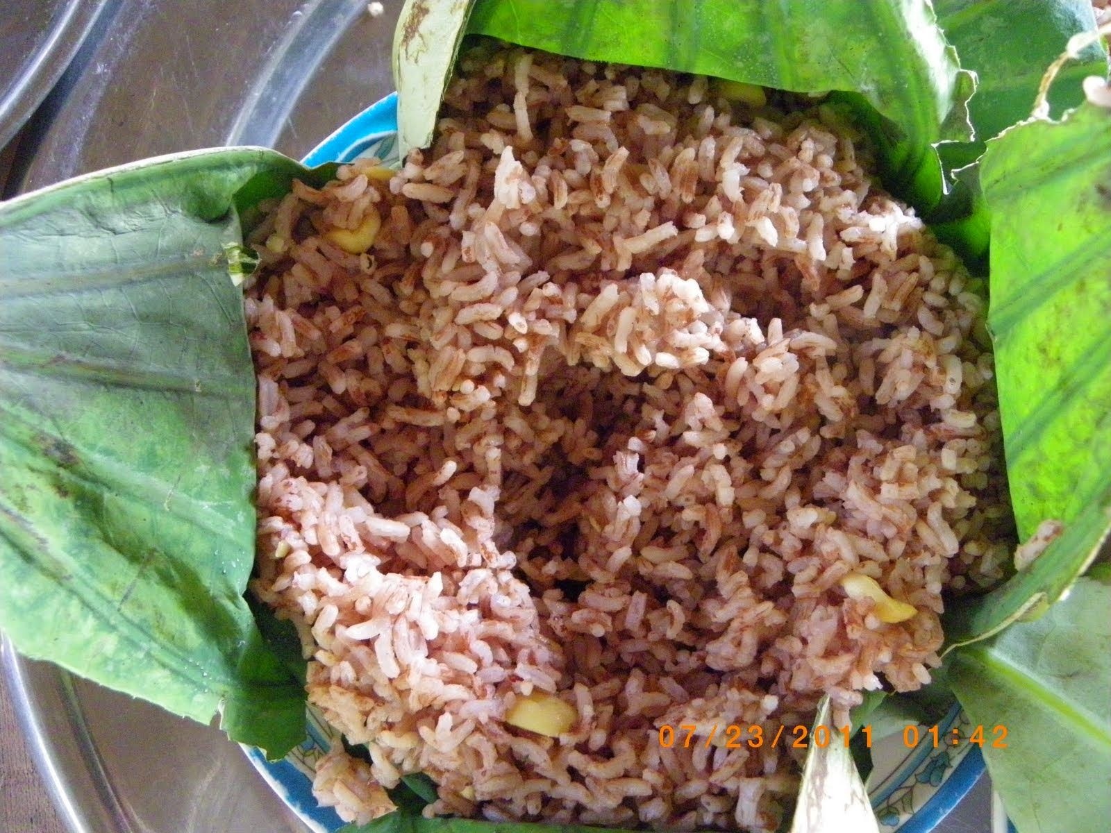 rung tram mien Tay anh 5