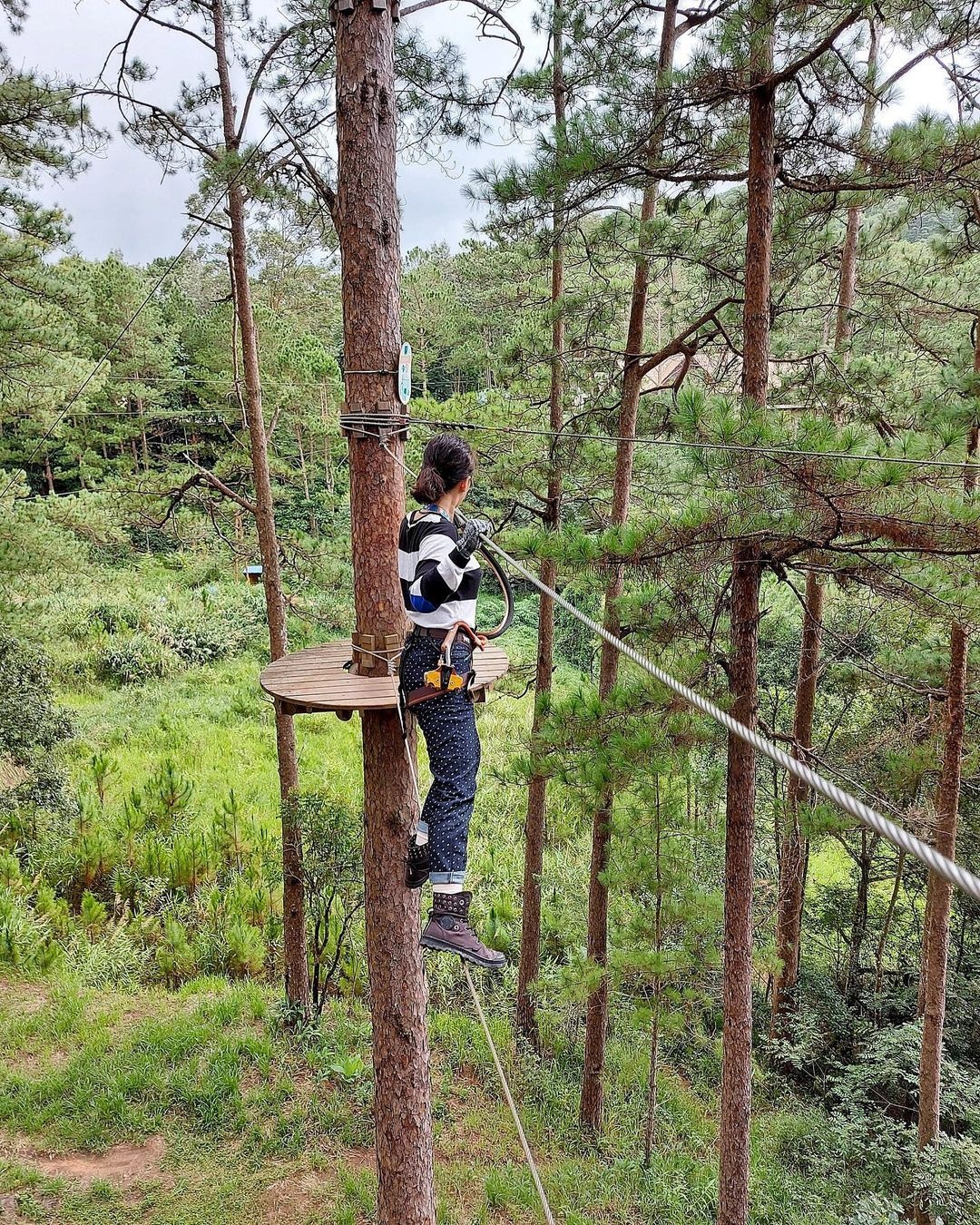 du lịch Đà Lạt 30/4 ảnh 6 du lich Da Lat 30/4 anh 6