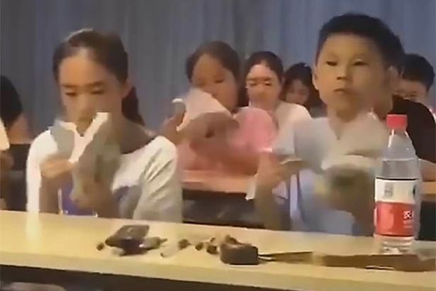 chi trăm triệu luyện não cho con ảnh 1 chi tram trieu luyen nao cho con anh 1
