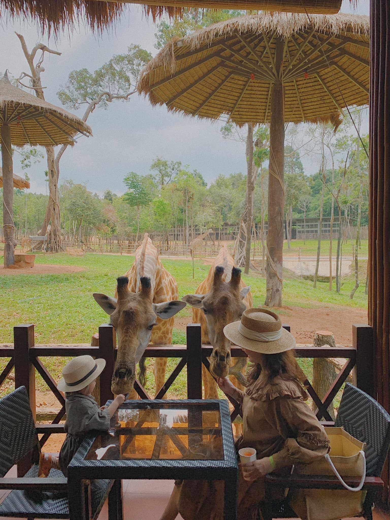 đi Phú Quốc cho gia đình có em bé ảnh 10 di Phu Quoc cho gia dinh co em be anh 10