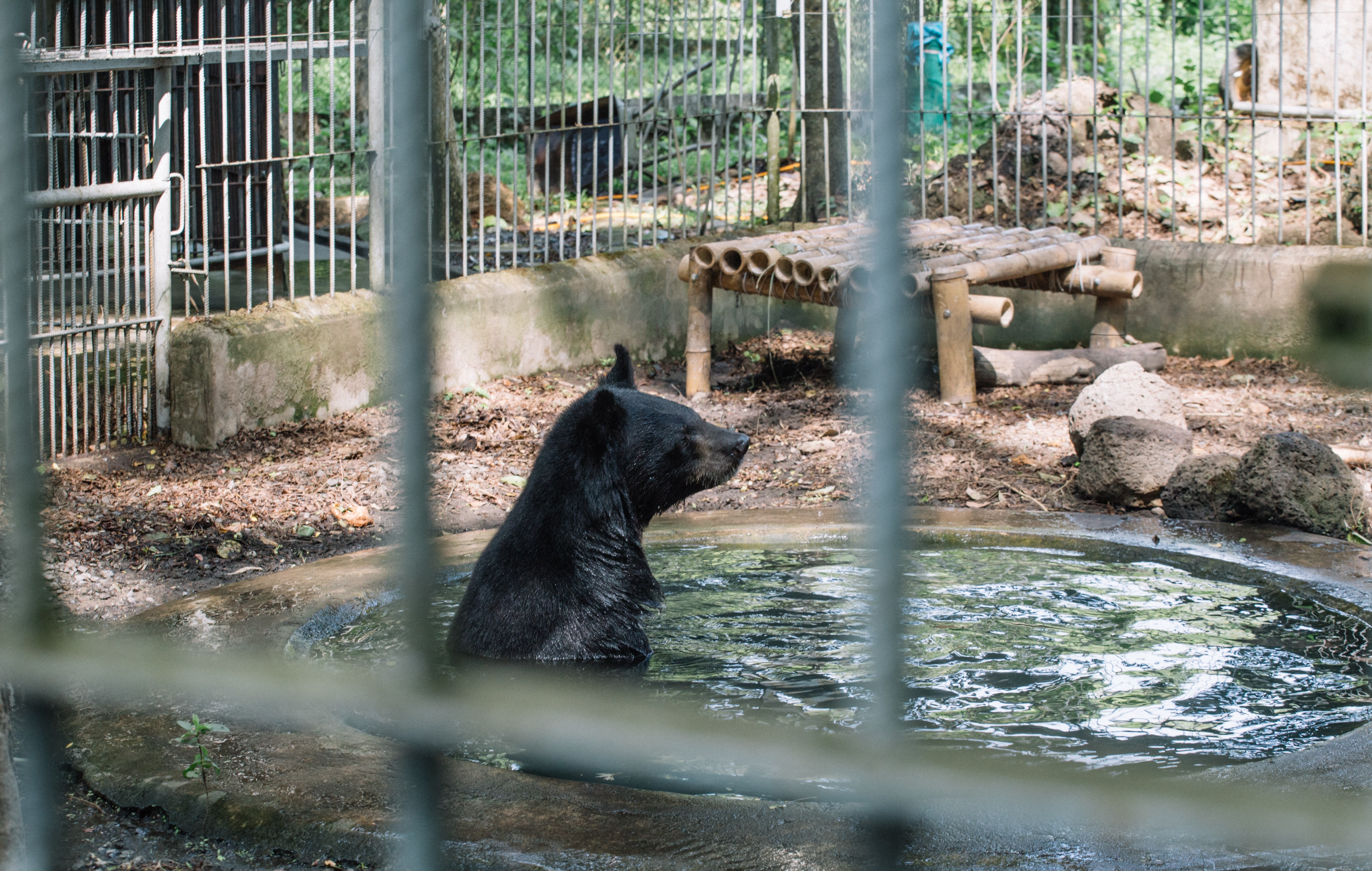 vuon quoc gia Nam Cat Tien anh 8