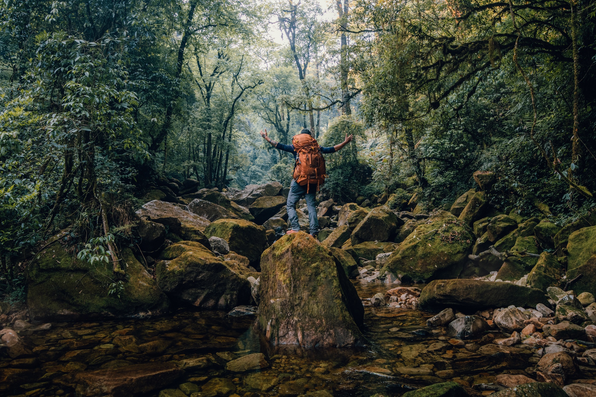 Nam Kang Ho Tao ảnh 3 Nam Kang Ho Tao anh 3