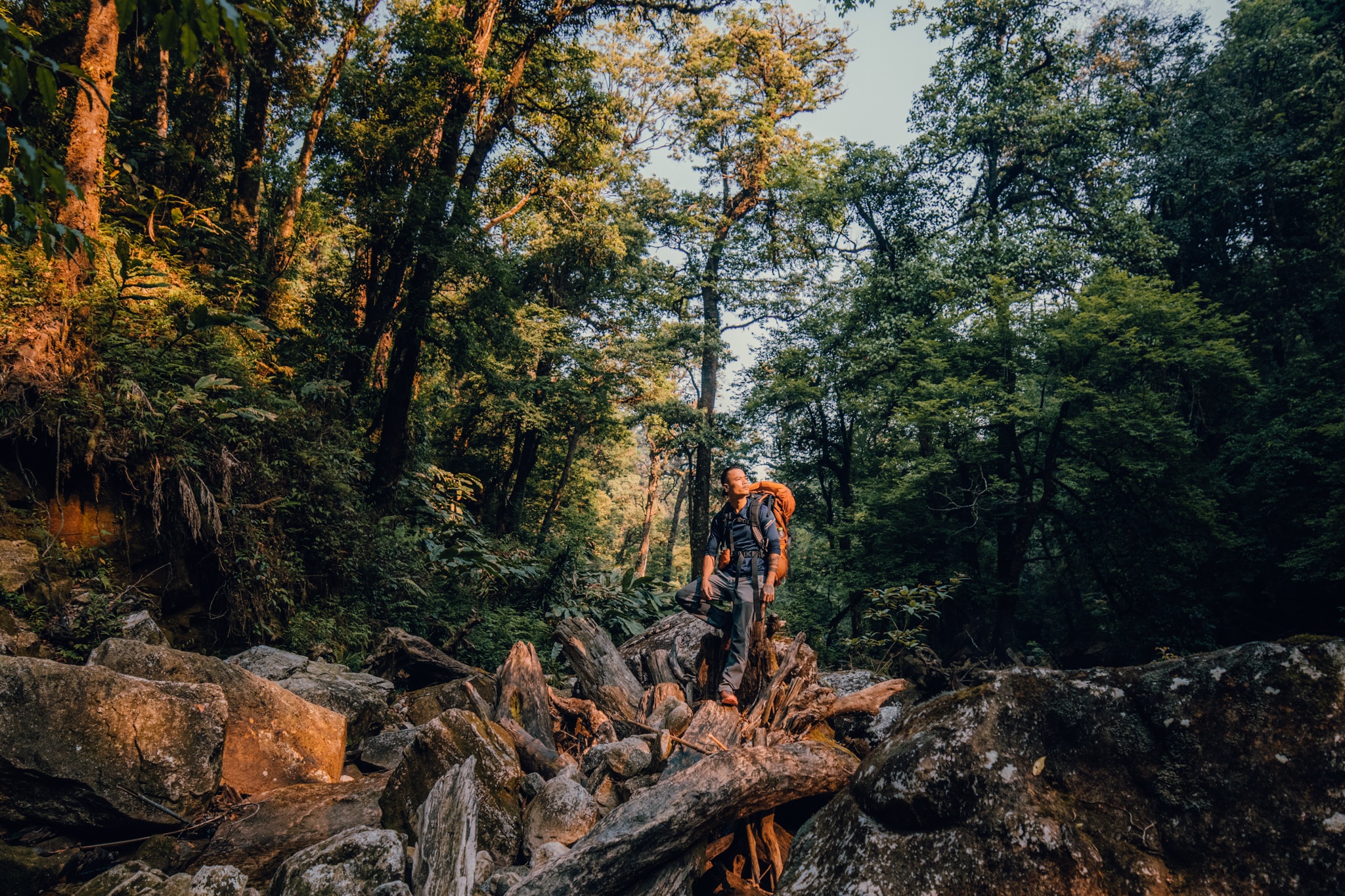 Nam Kang Ho Tao ảnh 4 Nam Kang Ho Tao anh 4