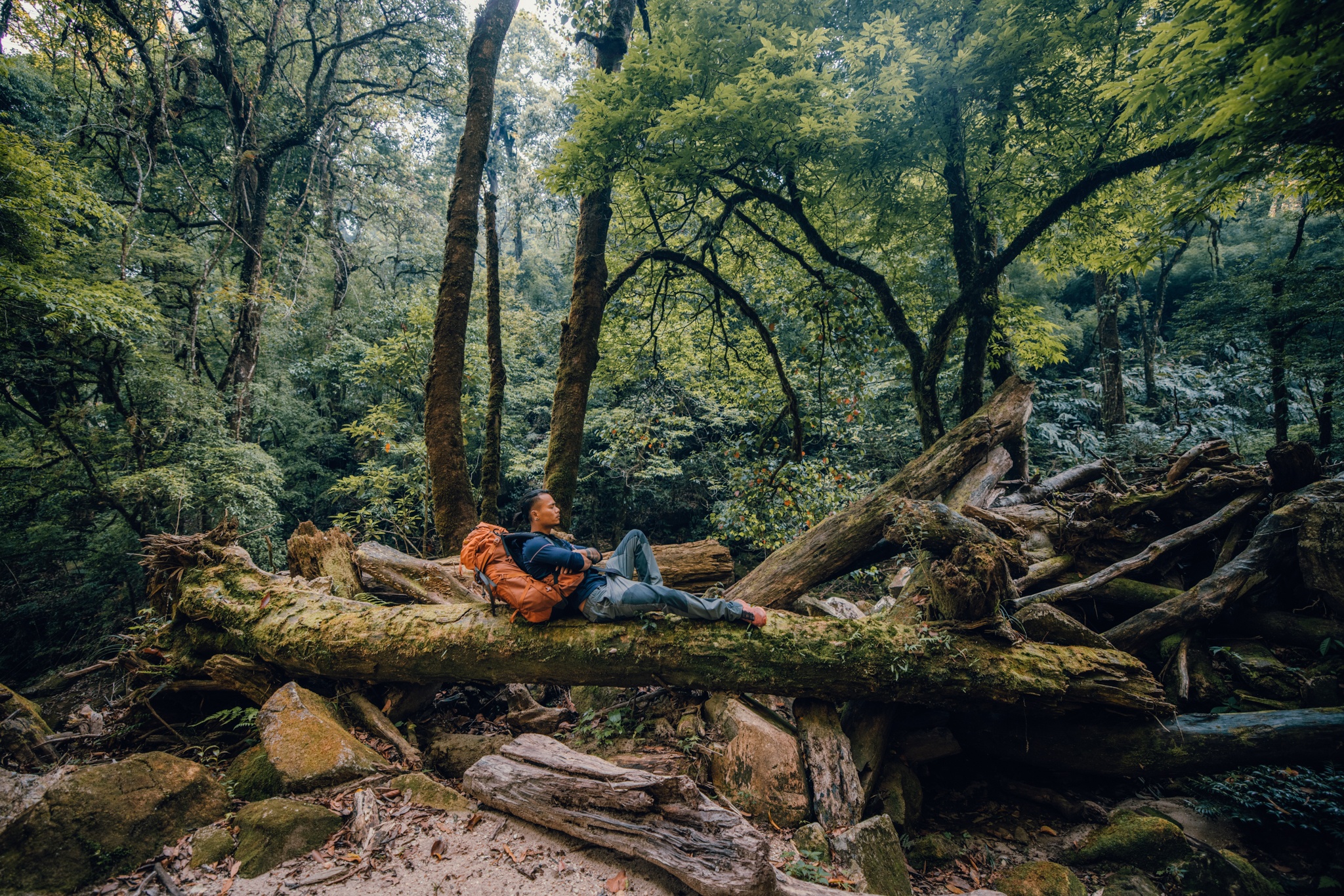 Nam Kang Ho Tao ảnh 7 Nam Kang Ho Tao anh 7