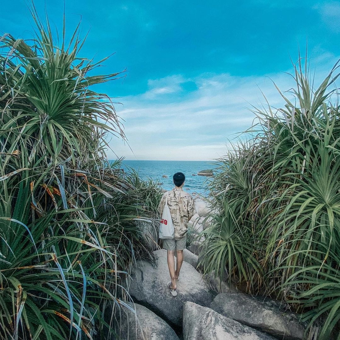 du lịch đảo Bình Hưng ảnh 7 du lich dao Binh Hung anh 7