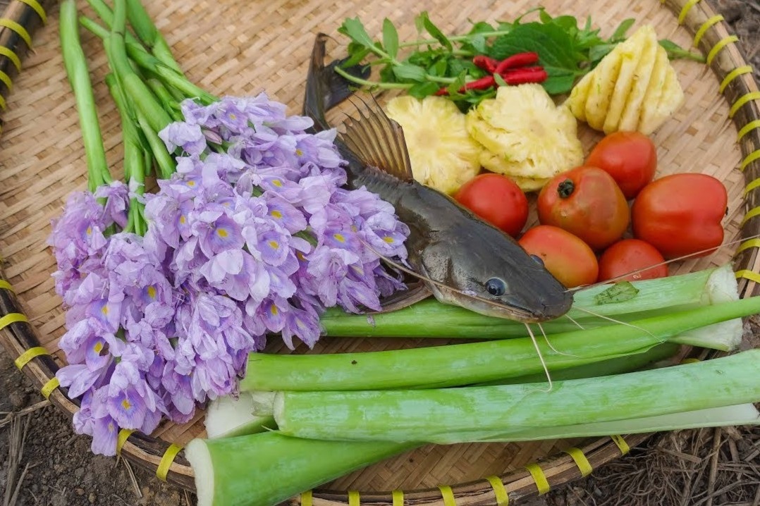 Loat mon ngon thuong thuc cung hoa noi tieng mien Tay hinh anh