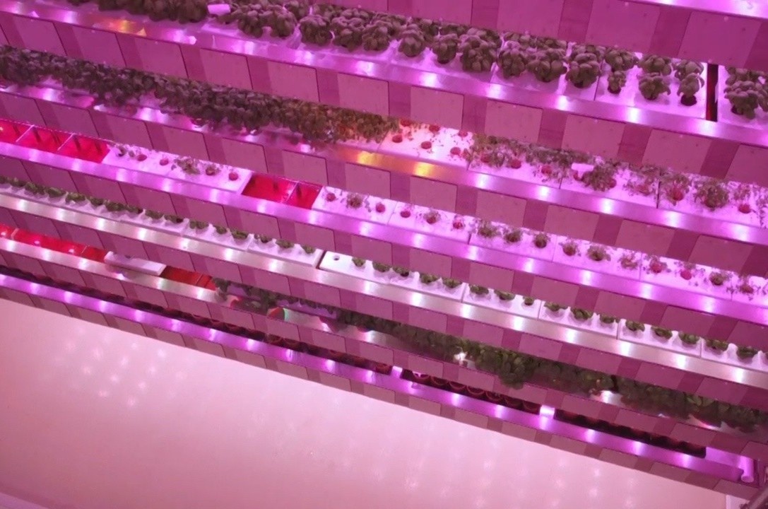 Mo hinh nong trai khong can dat va anh sang tu nhien hinh anh