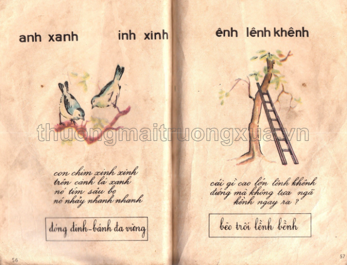 sach giao khoa Tan quoc van anh 5