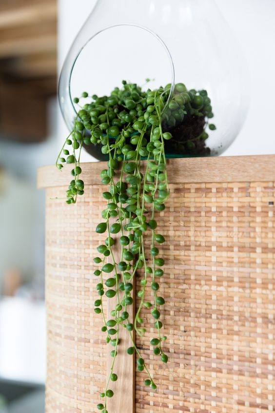trang trí bếp ảnh 5 trang tri bep anh 5