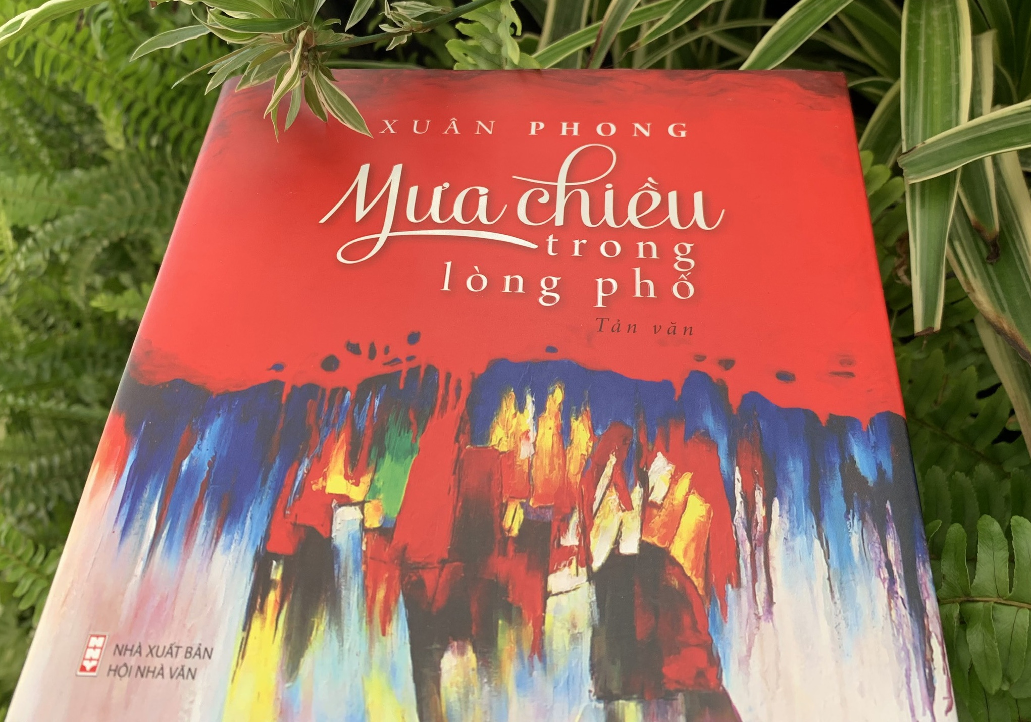 'Mua chieu trong long pho' dong day ky uc tuoi hoa hinh anh